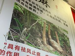 -朴小妹人参鸡汤火锅(长白山万达店)