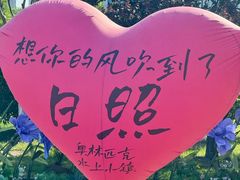 -日照海滨国家森林公园