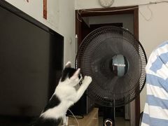 -美迦爱-牙专科·兔科·骨科诊疗中心(北苑店)