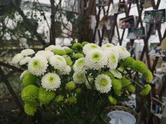 -八珍手工水饺·妈妈的爱(传芳巷店)