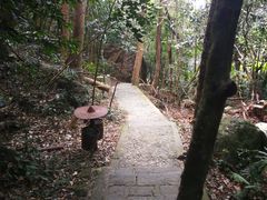 -七仙岭温泉国家森林公园