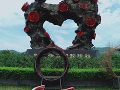 -亚龙湾国际玫瑰谷
