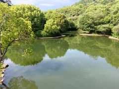 -柯岩风景区