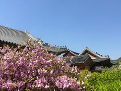 -景福宫