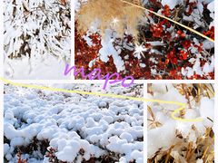 -北京亚布洛尼朝阳公园滑雪场