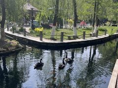 -水磨沟公园