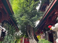 -叩齿古寺