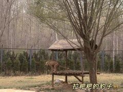 -济南野生动物世界