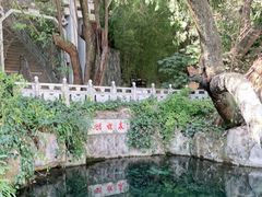 -蝴蝶泉公园