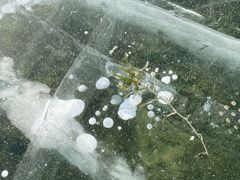 -白河湾生态旅游一条川