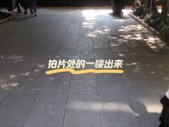 -同济大学附属口腔医院