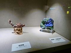 -陕西自然博物馆