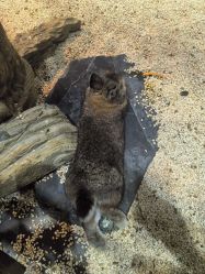 -Zoolung Zoolung动物主题公园(海信广场店)