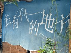 -璞真扎染博物馆