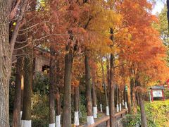-广州莲花山旅游区