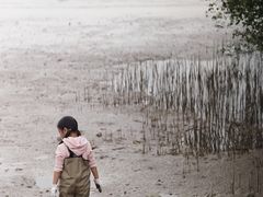 -宝安西湾红树林湿地公园
