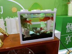 -北京之星奔驰4S店(亦庄店)
