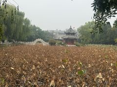 -莲池书院博物馆