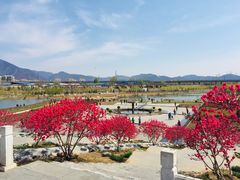 -永定河休闲森林公园