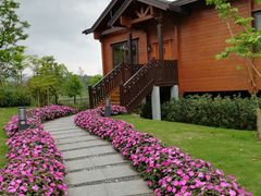 -美的鹭湖探索王国