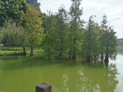 -南宁花花大世界景区