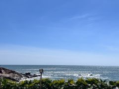 -广东惠东海龟国家级自然保护区