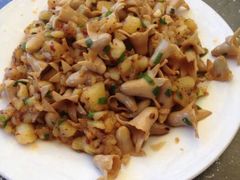 android_upload_pic-苍洱春饭店