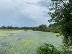 -蒲河岛湿地公园