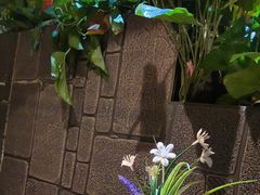 景观位-舌尖上的食缘花园主题餐厅