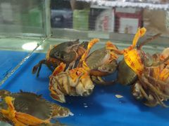 -张树军海鲜(王府壹号店)