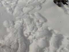 -塔云山