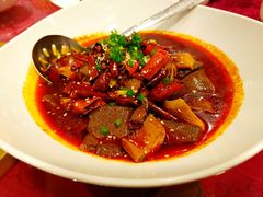 毛血旺-金鼎轩·滋养小餐馆(联想桥店)
