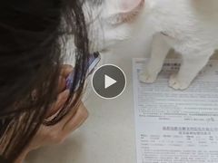 -瑞鹏宠物医院·超声·骨科·奇麟分院(蜀都万达店)