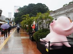 -九龙公园