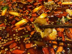-烧哥美蛙肥肠鱼火锅·十五年社区店