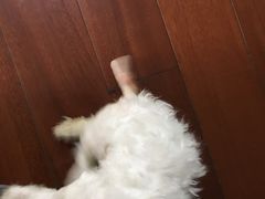 -美迦爱-牙专科·兔科·骨科诊疗中心(北苑店)