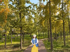 -汉长安城未央宫国家考古遗址公园