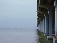 -宝安西湾红树林湿地公园