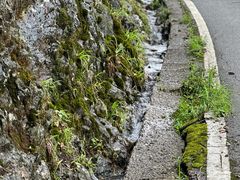 -玉舍国家森林公园