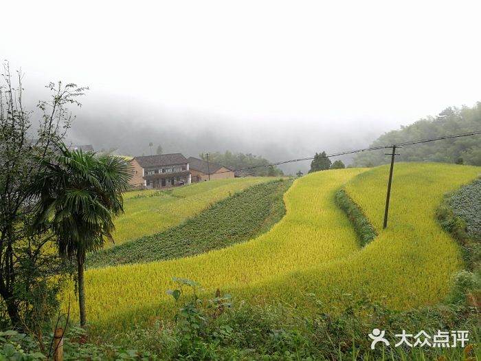 公盂村图片