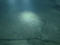 -白鹤梁水下博物馆