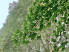 -河南省黄河迎宾馆