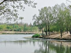 -马家湾湿地公园