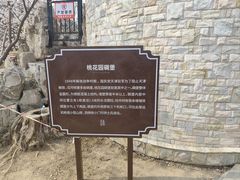 -桃花堤公园
