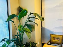 -星宙咖啡STELLARIS CAFE(广告产业园店)