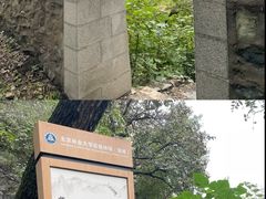 -北京鹫峰国家森林公园