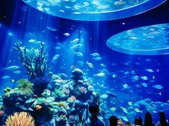 -嘉兴海底世界