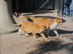 -南京金牛湖风景区