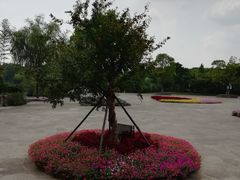 -梁鸿国家湿地公园