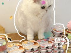 -帕帕拉兹宠物(亚洲旗舰店)